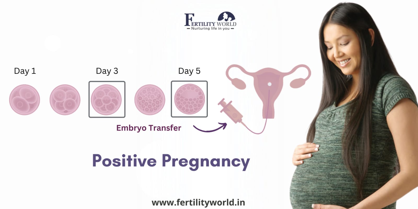 Highest IVF success rates