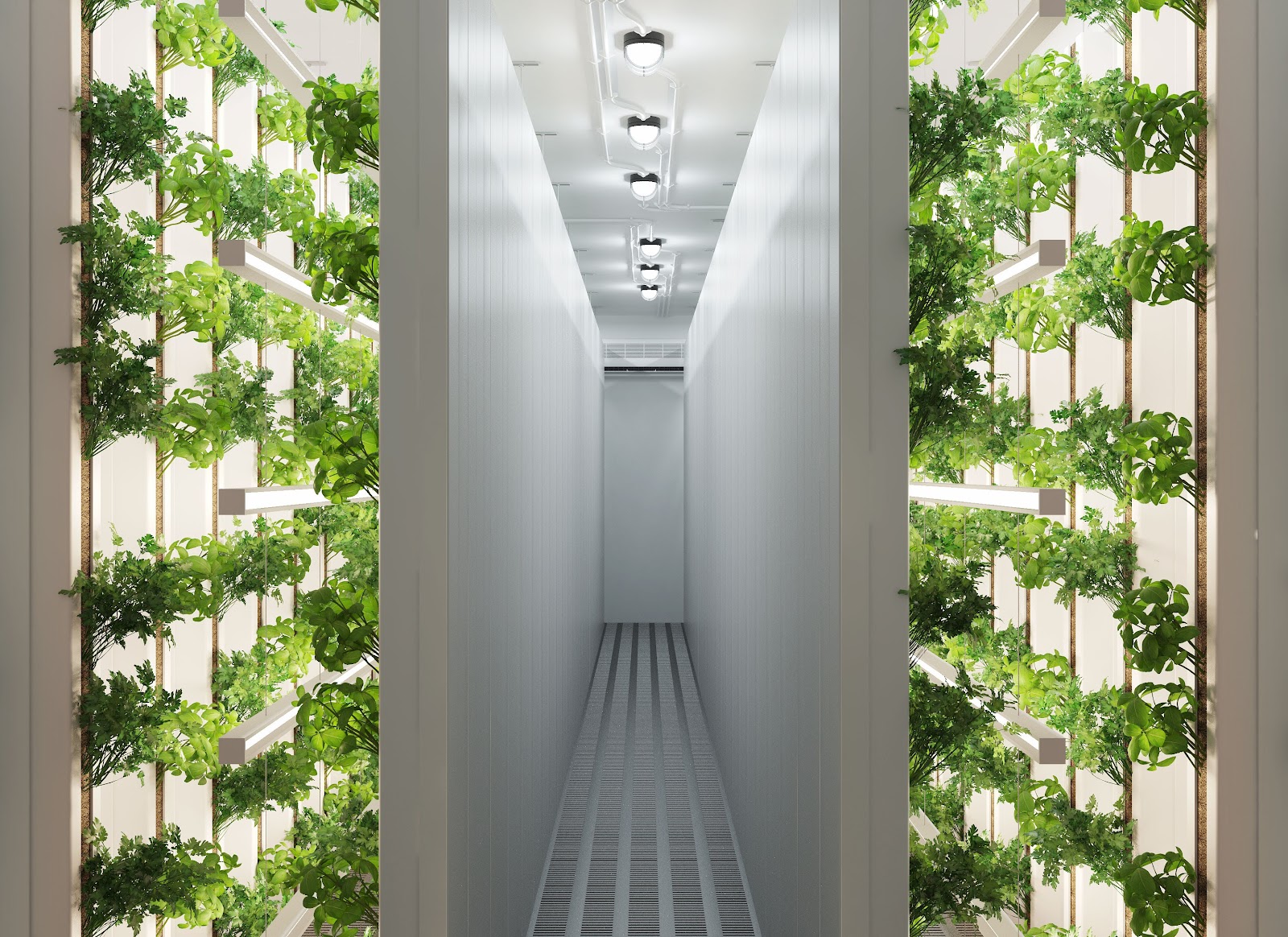 Urban Farming With the Leafy Green Machine2.jpg