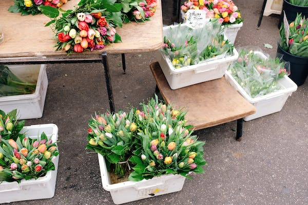 Flower Shop