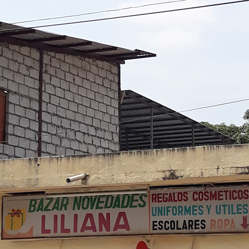 Opiniones de Bazar Novedades Liliana en Guayaquil - Tienda de ultramarinos