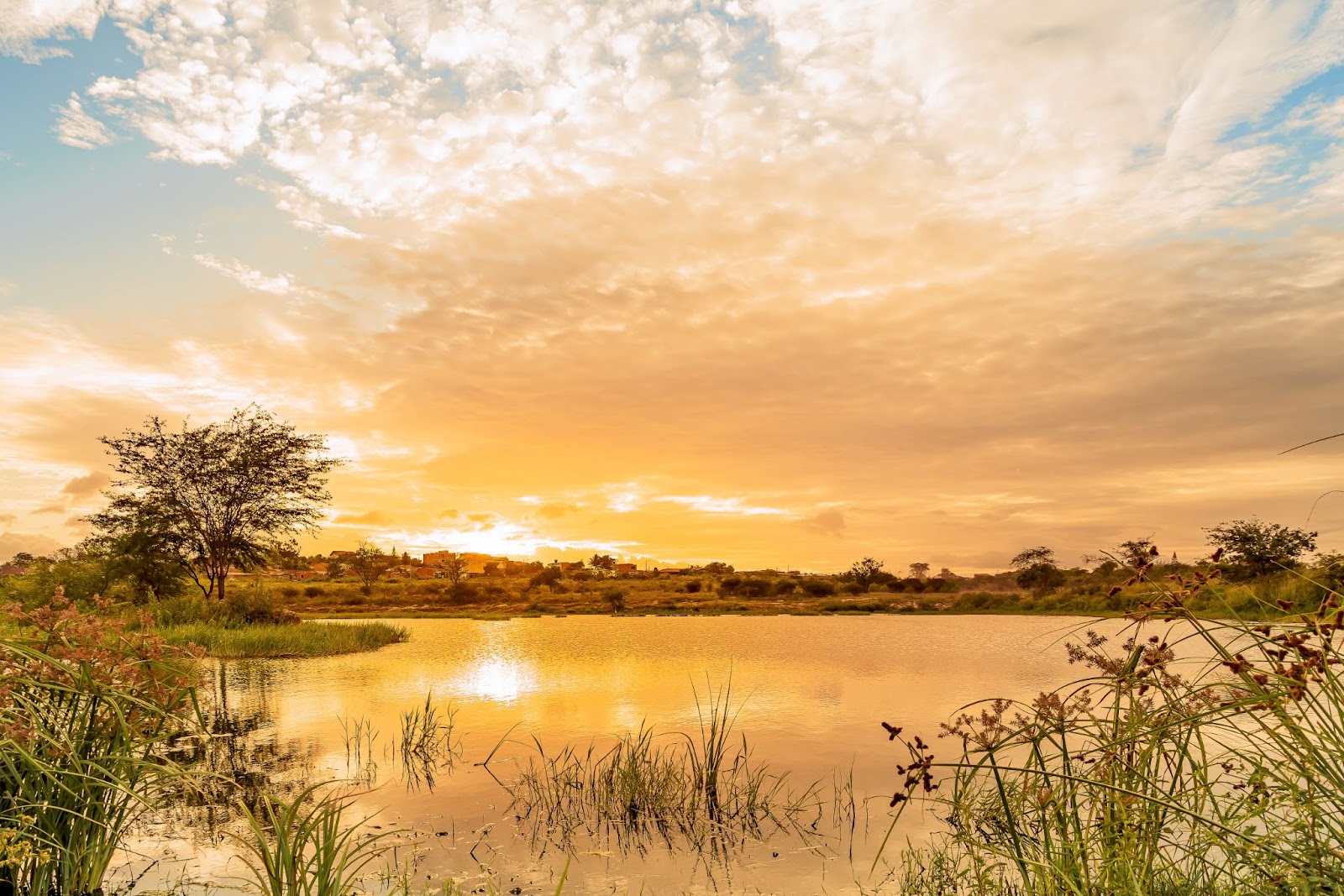 Pôr do sol em área rural do Alto do Moura, Caruaru. O céu alaranjado estende seu brilho pelas águas de um lago, que está rodeado por vegetação baixa e verde.