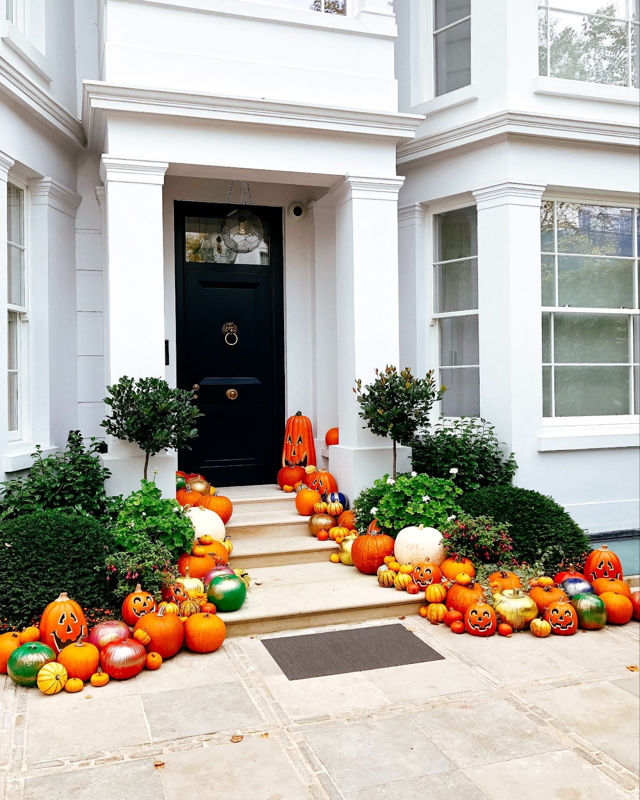 Enchanted Outdoor Entrance
