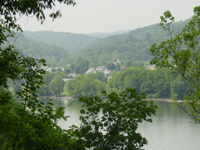 Wide river with small village on the far bank, viewed through trees. 