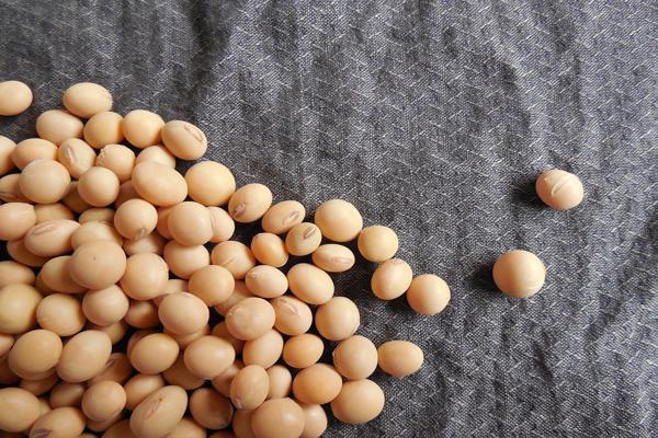 8 ผักและผลไม้ ช่วยป้องกันมะเร็งต่อมลูกหมาก สร้างสมดุลให้ฮอร์โมนเพศชาย 2.ถั่วเหลือง (Soy Bean)