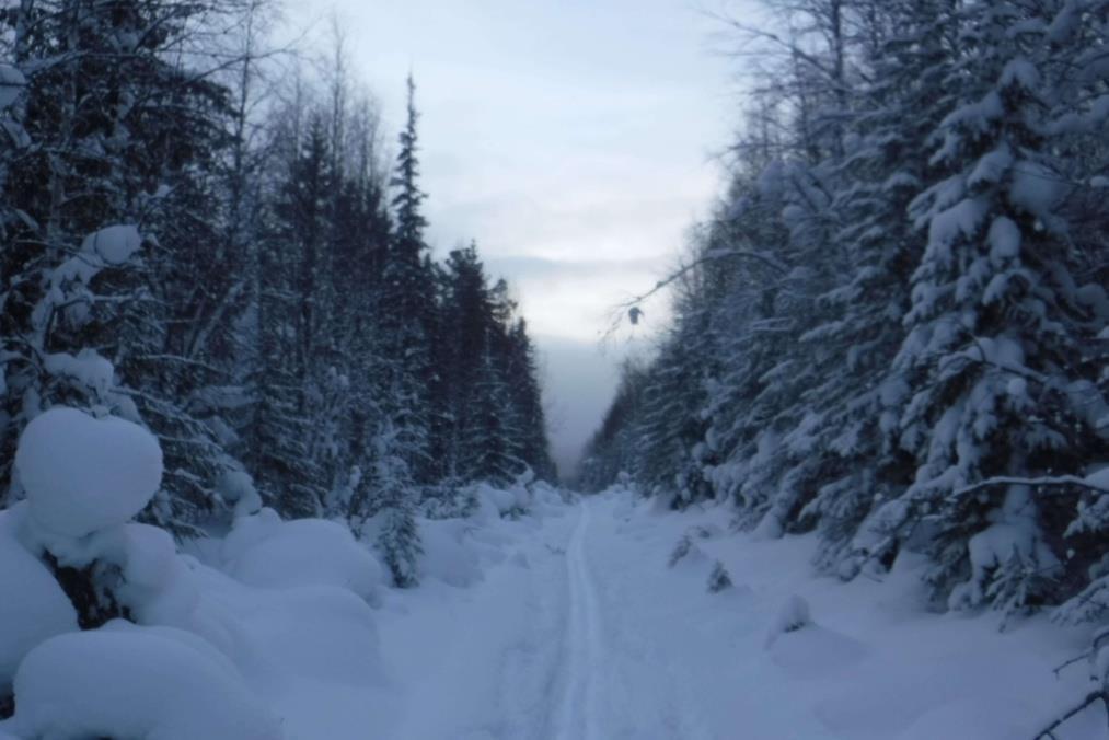 Отчет о лыжном туристическом походе 3 категории сложности по Северному Уралу 