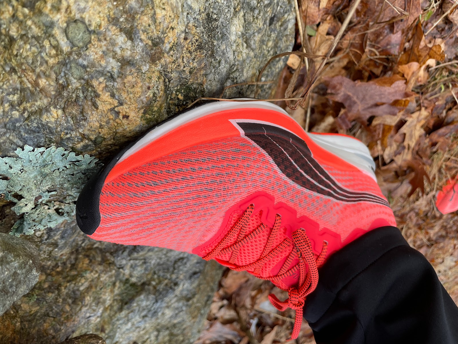 Road Trail Run: Puma Running Deviate Nitro Review: The Cat is Out of the  Bag! 16 Comparisons.