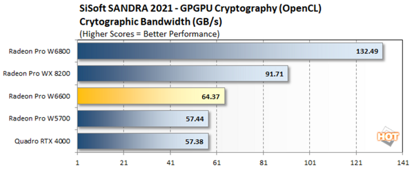 amd radeon™ pro w6600