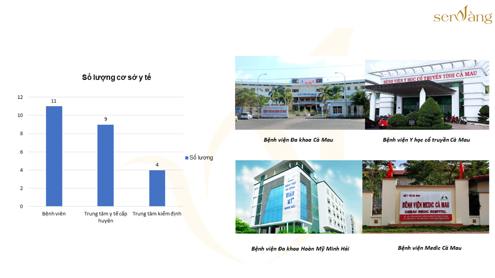 Tổng quan tỉnh Cà Mau