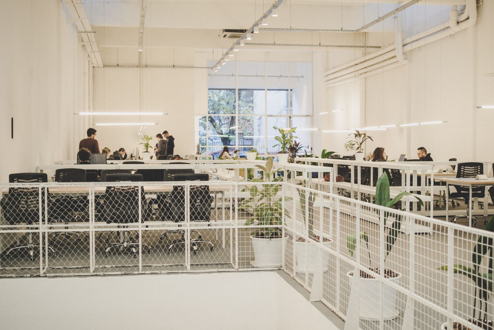Huerta Coworking Space in Buenos Aires