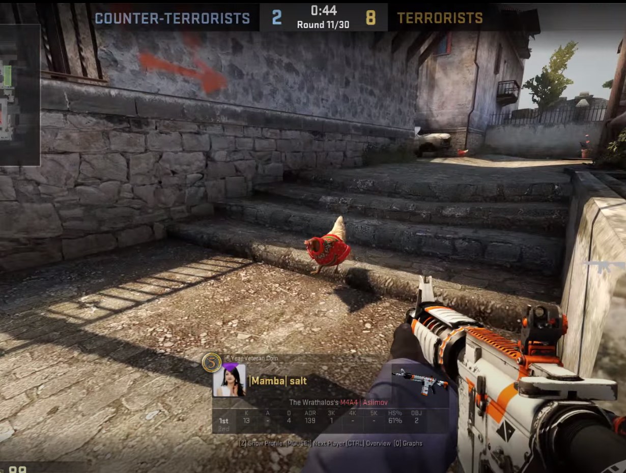 a hen wearing a sweater in CS:GO