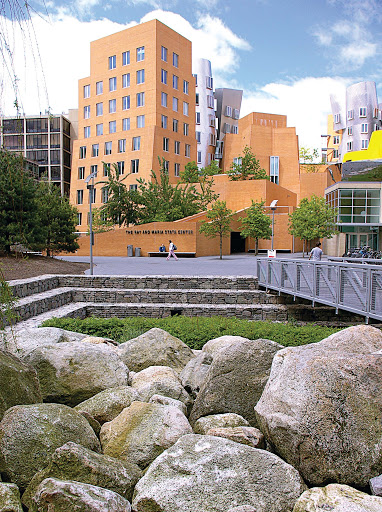A bioswale made of large rocks behind the MIT Stata center, and eccentric building with strange edges and curves.