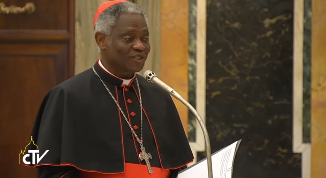 ‘Phỏng vấn của Vatican News với Đức Hồng y Turkson về những sáng kiến Coronavirus’