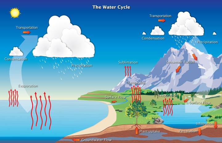 water_cycle.jpg