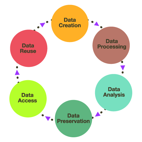  Research Data curation life cycle