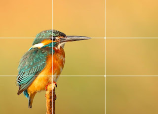 What is the rule of thirds in photography?