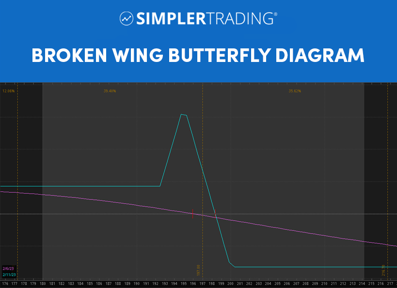 Broken Wing Butterfly Profit Picture