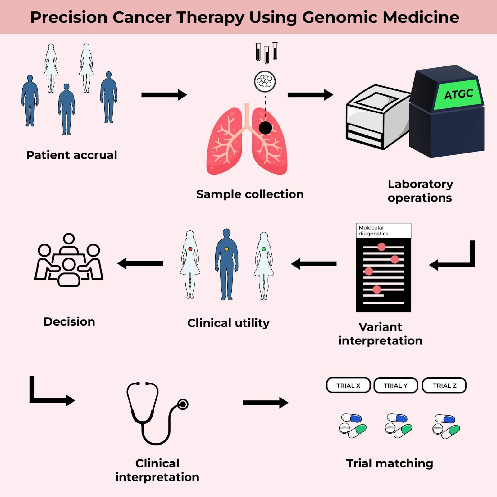 Genomic Medicine Application: Precision Cancer Therapy