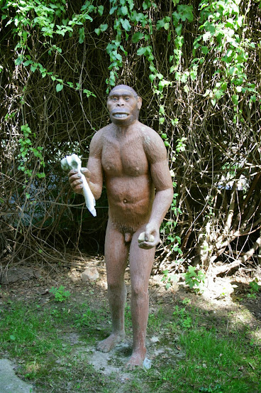 Homo Habilis