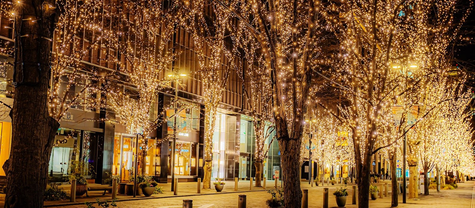 東京聖誕燈飾2022 丸之內
