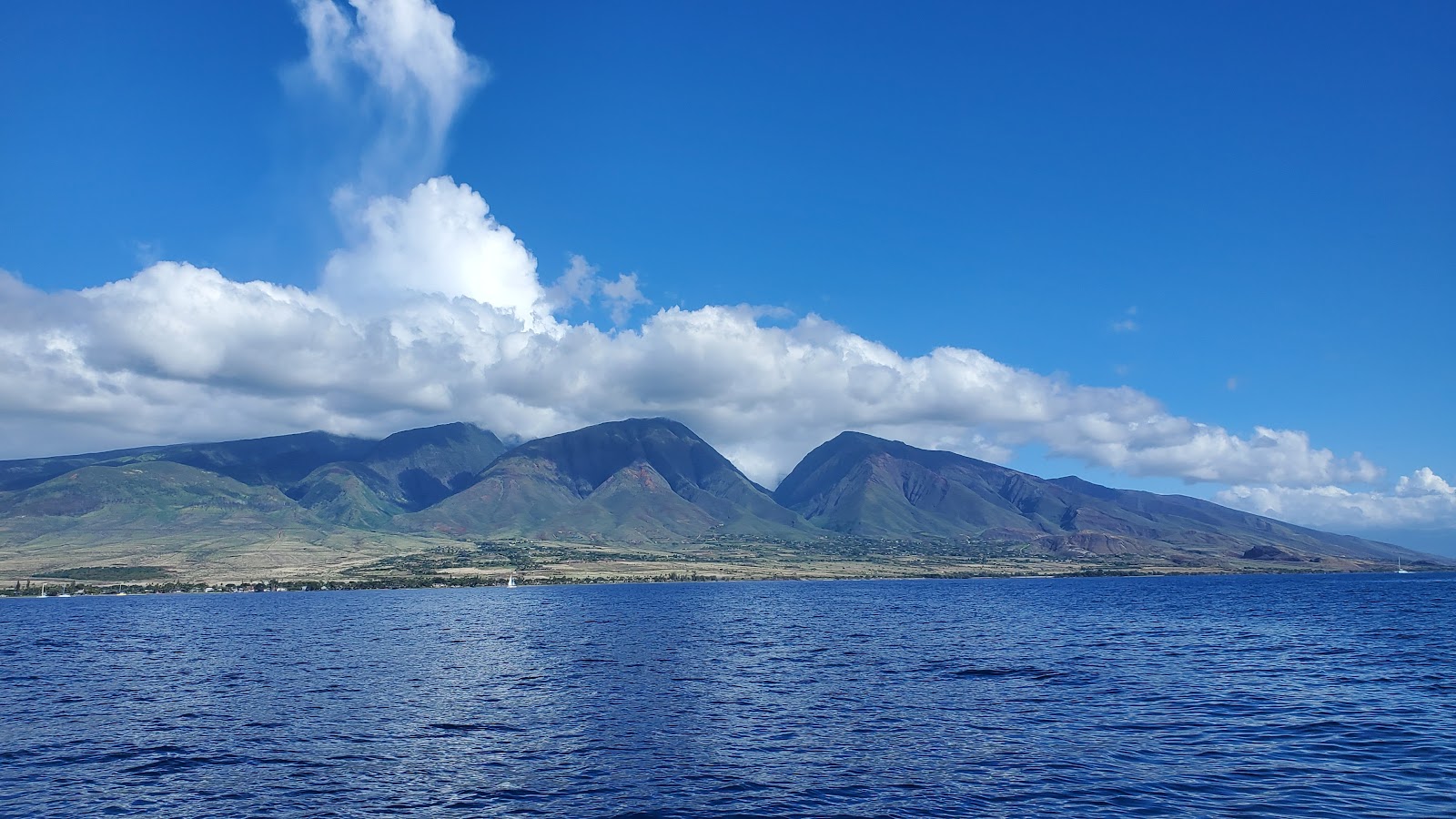 Image of a Hawaiian island with ocean and blue sky.