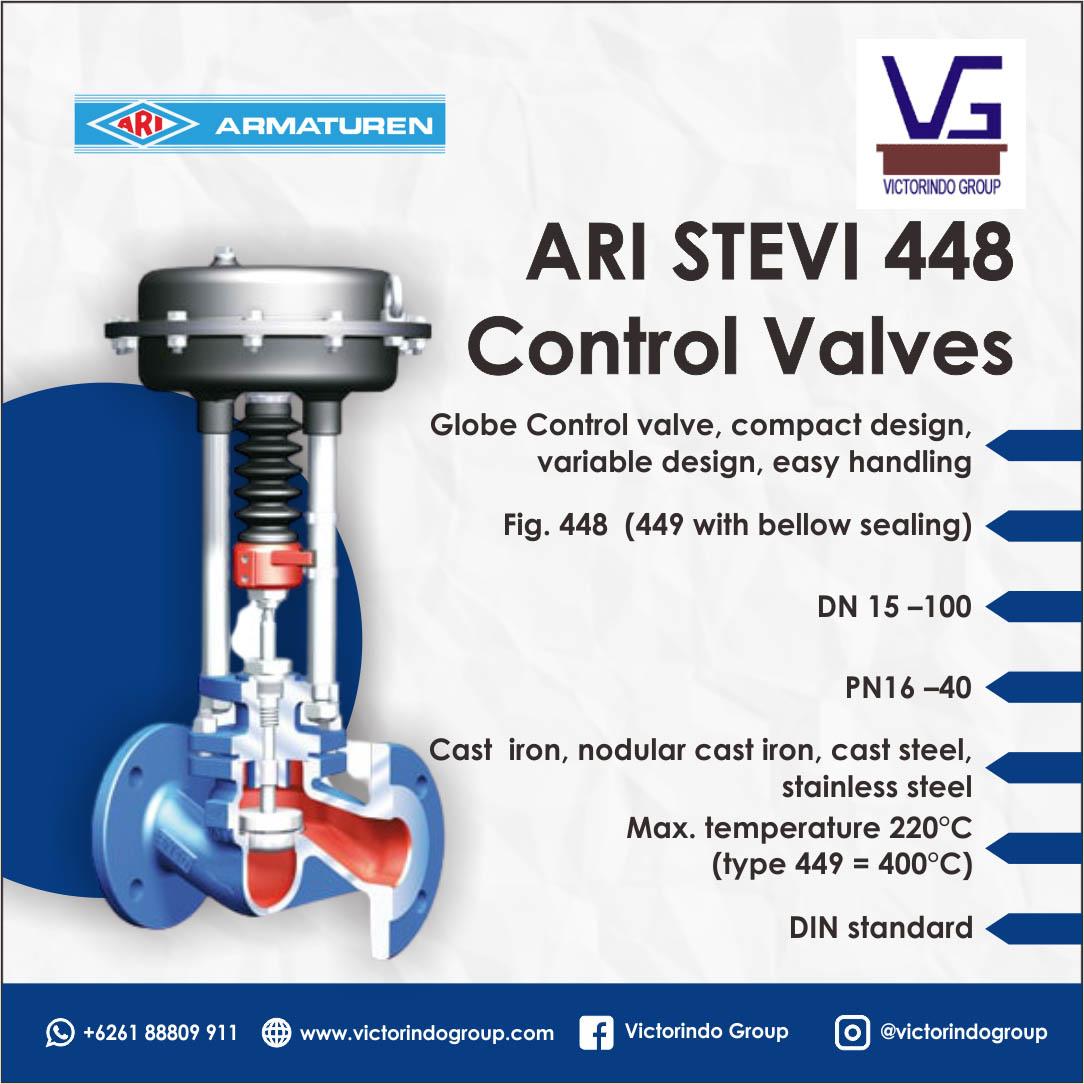 Ari Stevi Control Valve