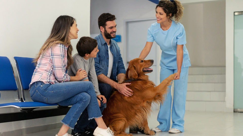 Pet Insurance vs Human Health Insurance: Key Differences to Know | Pawlicy  Advisor