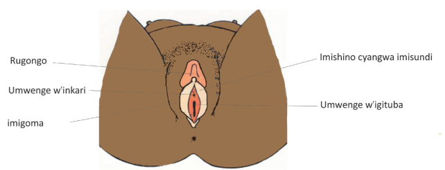 6.PNG