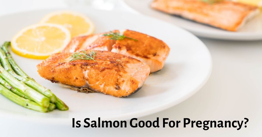 is salmon good for pregnancy