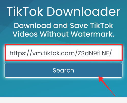 tiktok downloader