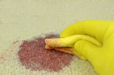 Pet Stains in Carpet