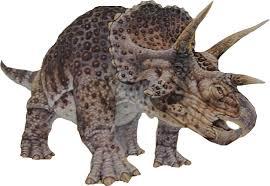 Resultado de imagen de triceratops