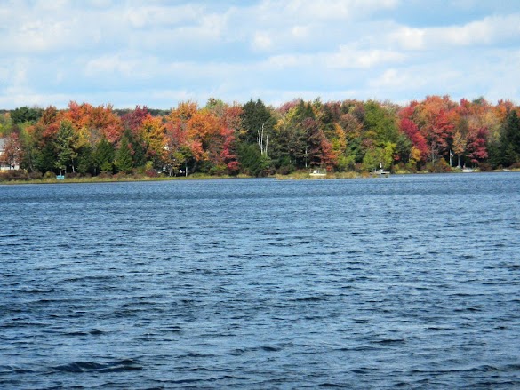 Houses For Sale Stillwater Lake Pa / Pocono Lakefront Homes for sale in the Pocono Mountains : Browse photos, see new properties, get open house info, and research neighborhoods on trulia.