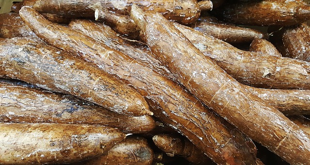 Arrowroot