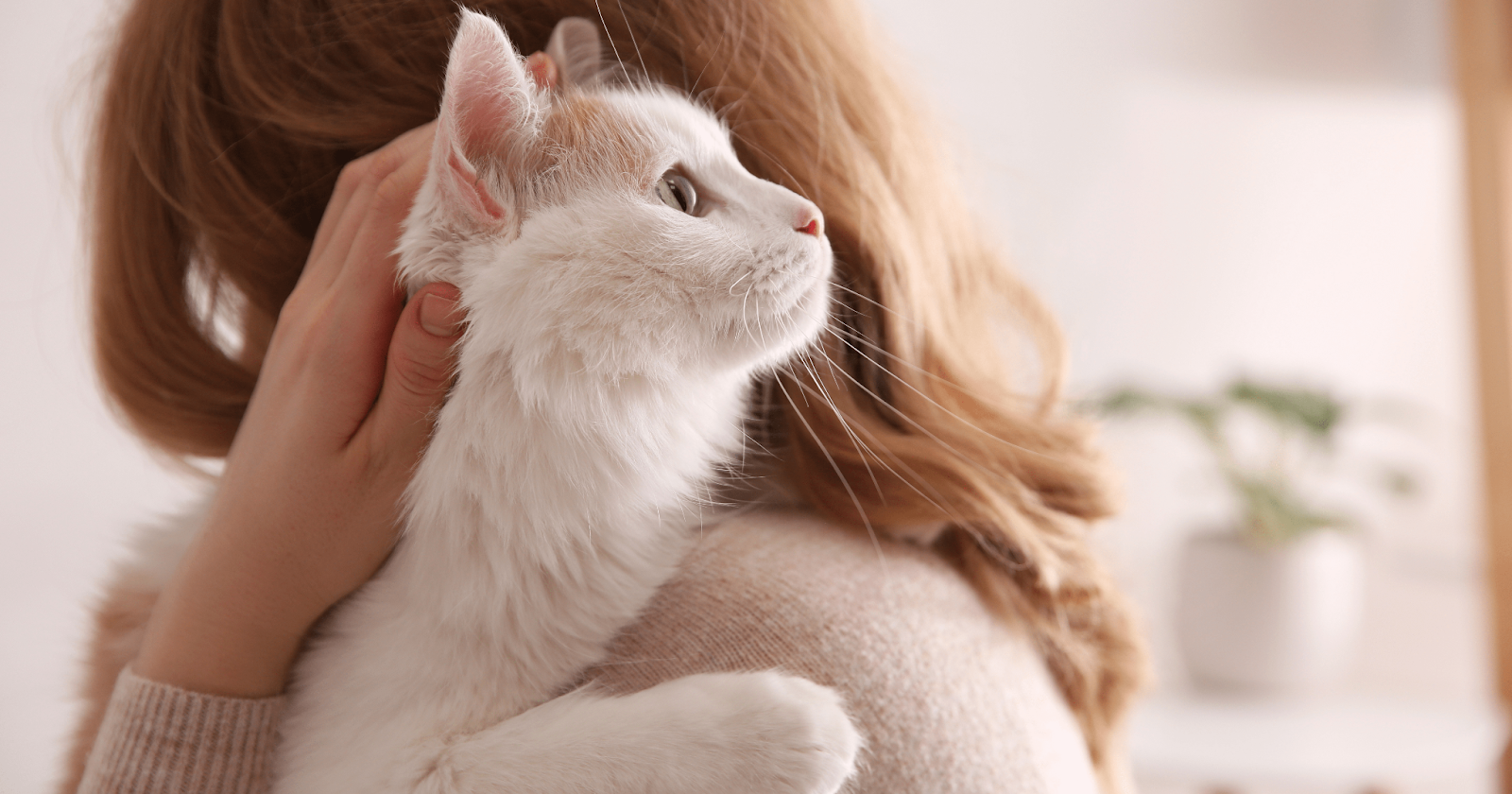 Woman hugging white cat that is looking over her shoulder