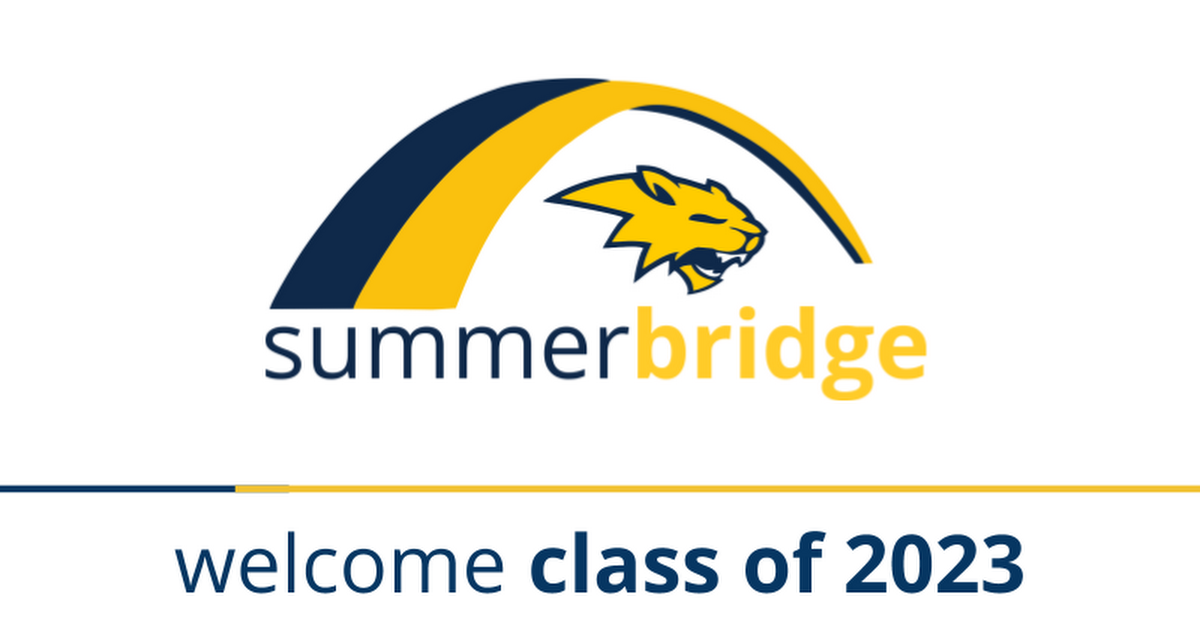Summer Bridge Google Slides