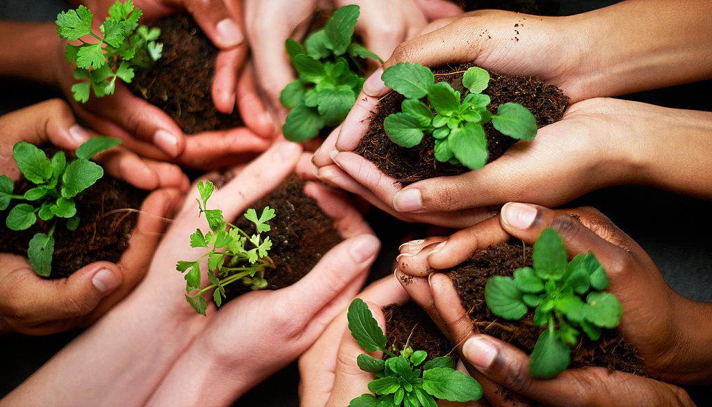 Fueling Sustain Eco WarriorS Guide
