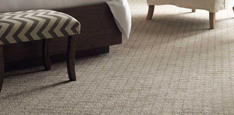 WeServe Grey Carpet Floor