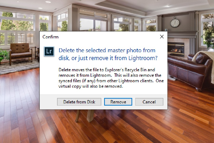 Removing selected master photo in Lightroom