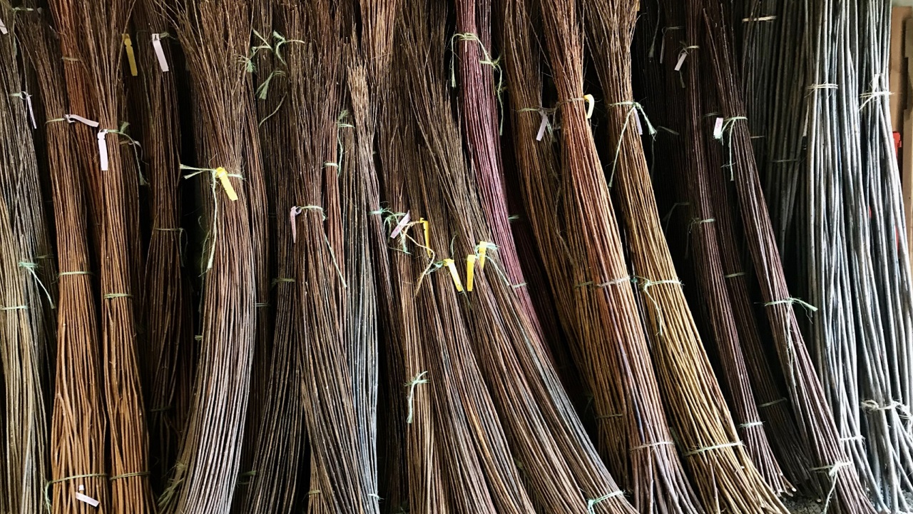 Drying The Willow Branches