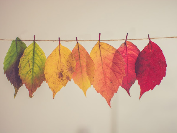 How You Can Prepare for Change?