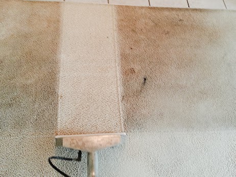 Contact SteamPro Carpet Cleaning of Osage Beach for professional carpet cleaning services (573) 348-1995