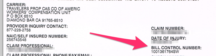 Payer Claim Control Number DaisyBill