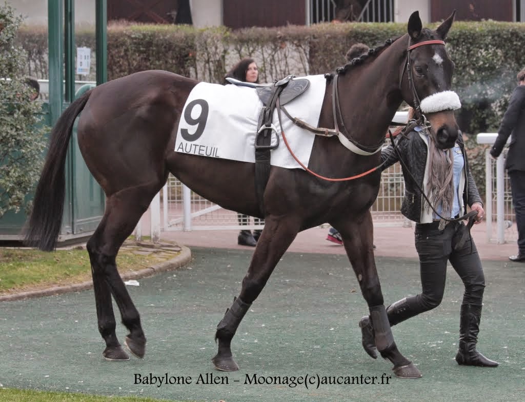 Photos Auteuil 14-03-2015 WGaYRtXTJiHfP2mxnhpTlzti_dSVdbXj6daPzJSZWv5O=w1024-h784-no