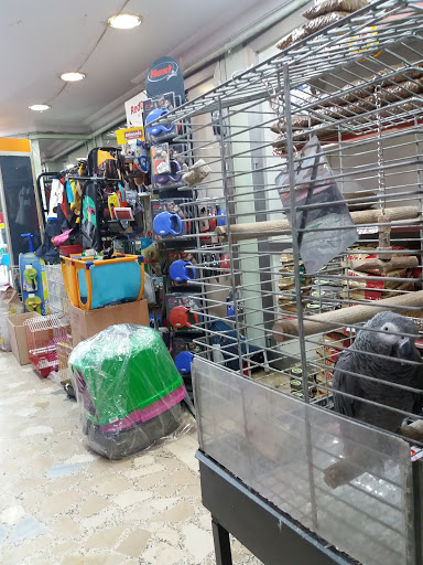 Atılgan Pet Shop | Şişli İstanbul - Evcil hayvan mağazası