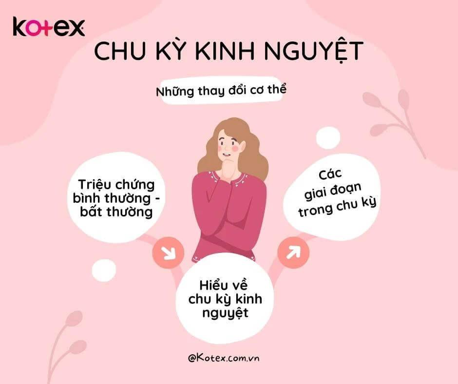 Chu kỳ kinh nguyệt là gì