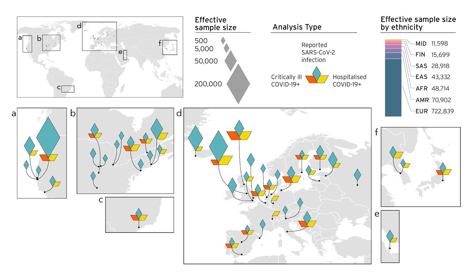 Figure 4. Overview of the studies contributing to the COVID-19 host genetics initiative and composition by major ancestry groups in meta-analyses.