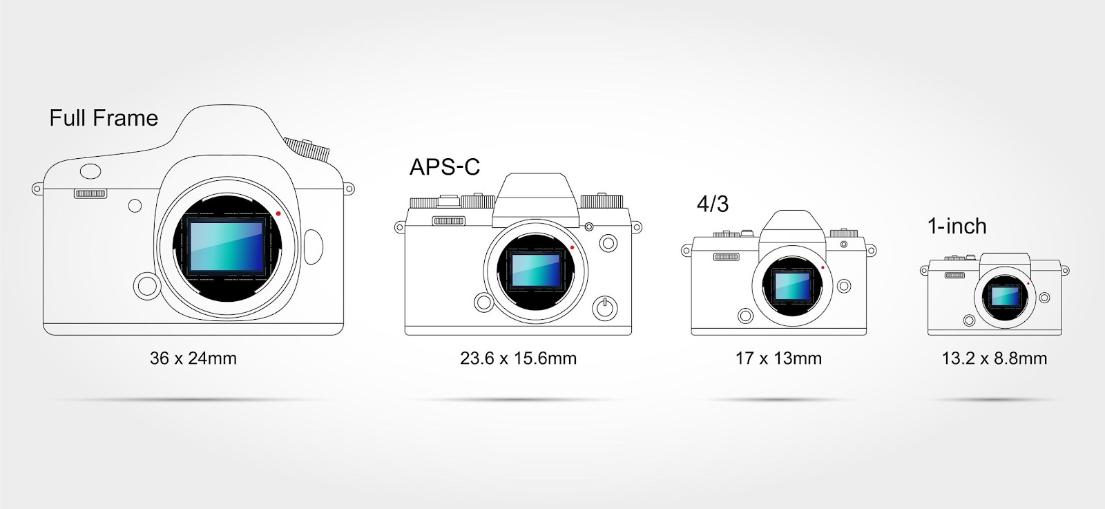 dslr camera sensor size comparison
