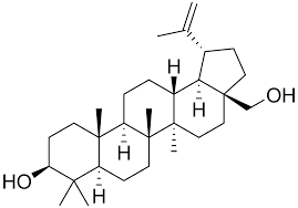 Image result for Betulin