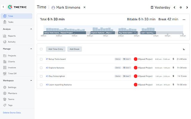 TMetric screenshot