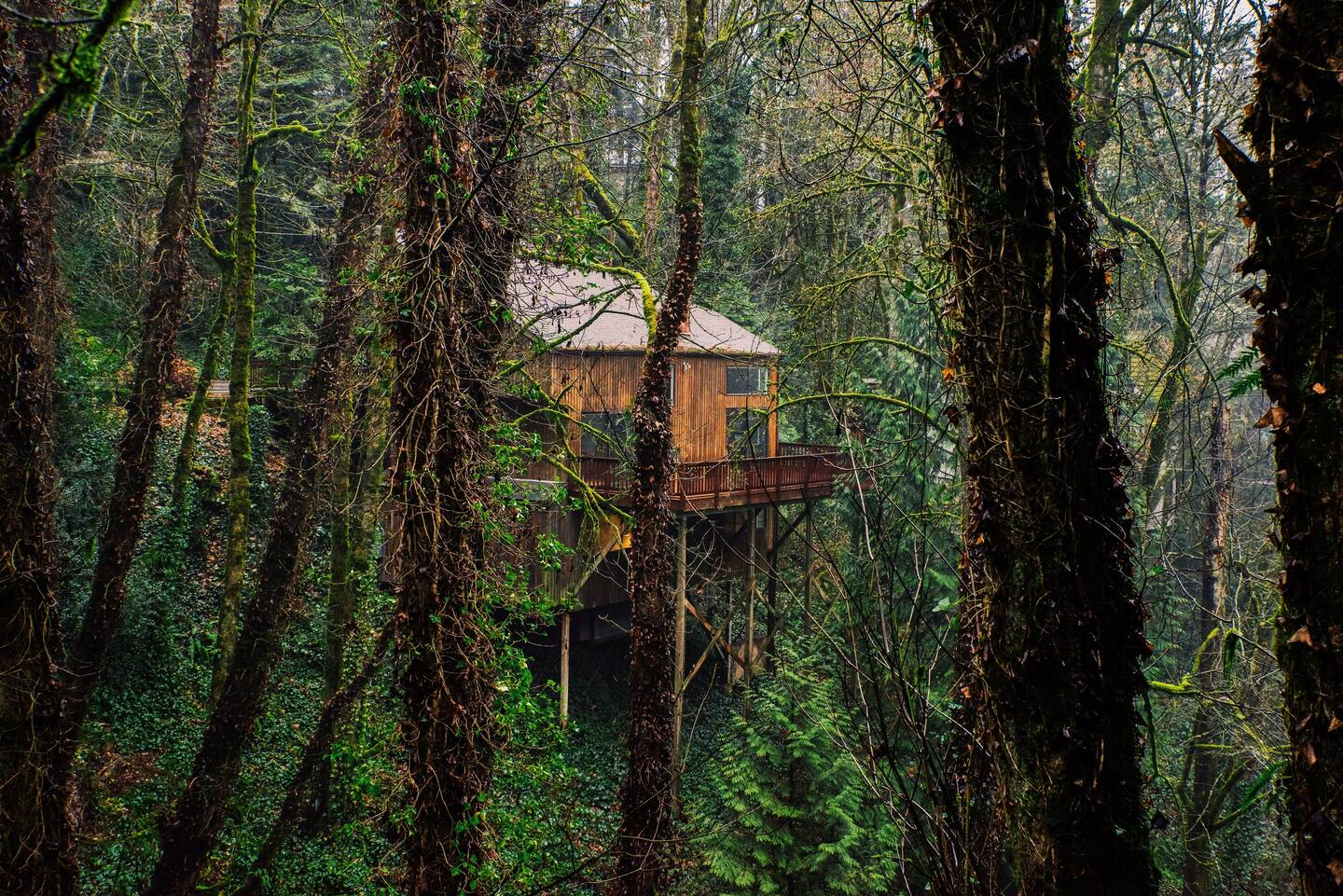 Wald House PDX - The Best Family Treehouse Hotels in the Tranquil West Hills Forests